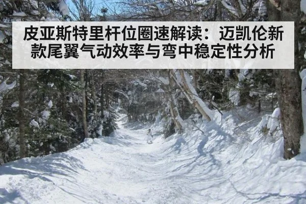 皮亚斯特里杆位圈速解读：迈凯伦新款尾翼气动效率与弯中稳定性分析
